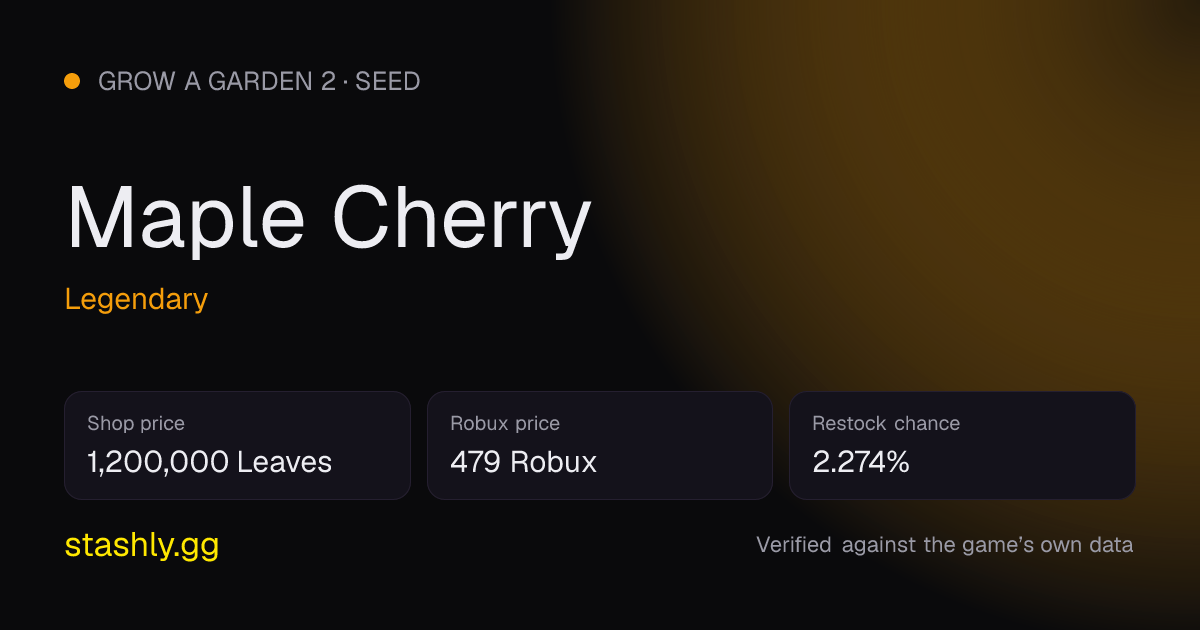 Maple Cherry — verified figures from Stashly