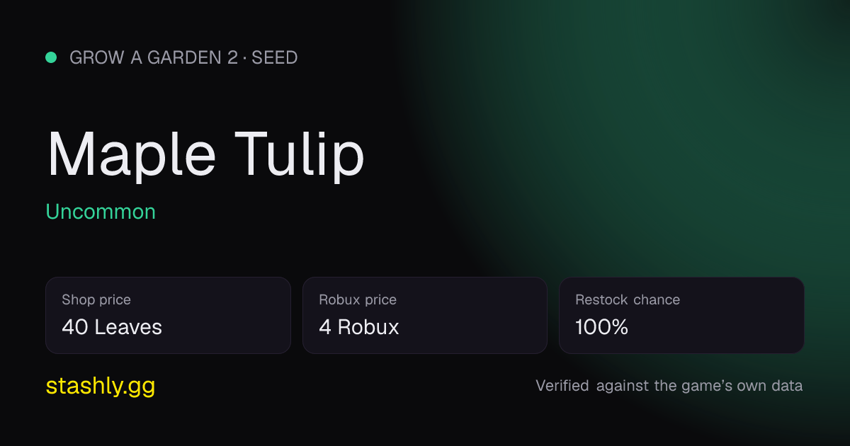 Maple Tulip — verified figures from Stashly